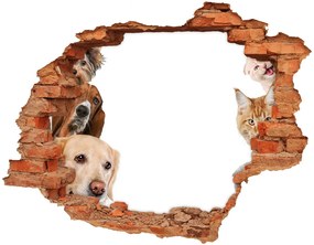 3d fali matrica lyuk a falban Kutyák és macskák nd-c-104206550