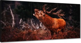 Vászonkép 60x30 Szarvas az erdőben