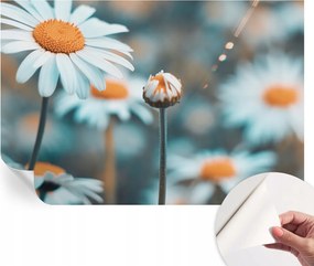 Fali fotótapéta Hálószobába Nappaliba Kamilla finomság 104x70 cm