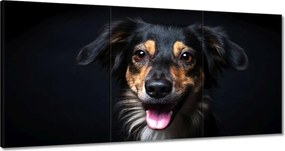 Festmények 180x90 Border Collie portré