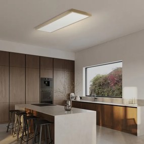 Brilagi-LED dimmelhető fürdőszobai lámpatest FRAME SMART LED/50W/230V 120x30 IP44 + távirányító