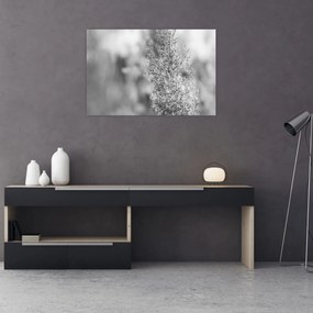 Kép - Boho pampafű (90x60 cm)