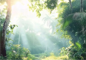 Fotótapéta Erdő A FlizelinEN Gyönyörű Kilátás fotótapéta falra ragasztó