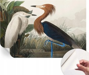 Öntapadós tapéta Divatos 3D fali ragasztó Madarak a növényekben 104x70 cm