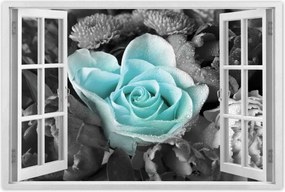 Poszterek 120x80 Türkiz rózsa
