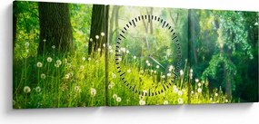 Kép - Varázslatos rét tele pitypanggal (órával) (90x30 cm)