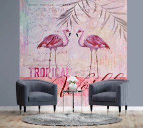 Gario Fotótapéta Rózsaszín flamingos állatok - Andrea Haase Anyag: Vlies, Méret: 200 x 200 cm