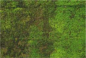 Flizelin tapéta falra Prémium zöld szőnyeg 152x104 Ragasztó