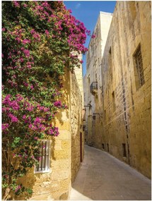 Fotótapéta Utca Toszkánában Vinyl 184x254