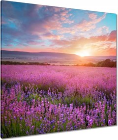 Festmények 80x80 Nyugaton változatlan