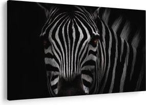 Zebra képe (90x60 cm)