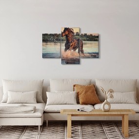 Kép - Futó ló (90x60 cm)