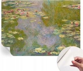 Öntapadós Dekoratív Fotótapéta Hálószobába Vízi liliomok 208x146 cm