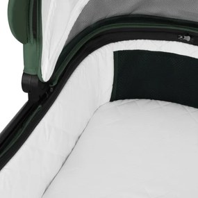 Lionelo - 3 az 1-ben kombinált babakocsi LAYLA Green Forest