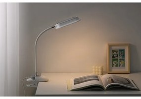 Immax 08997L - LED+CCT dimmelhető asztali csipeszes lámpa CLIP 7,5W/230V fehér