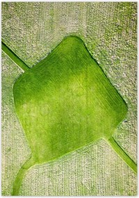 Poszterek 70x100 Fű mező rét út