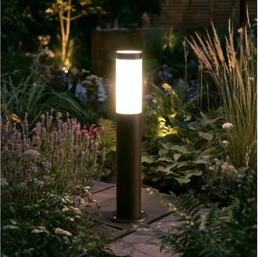 BRILAGI-LED dimmelhető kültéri lámpa ELIA 1xE27/6W/230V 2700-6500K IP44 50 cm antracit