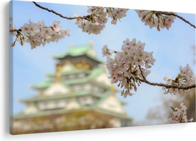 Kép - Sakura (90x60 cm)