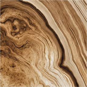 Dekoratív Fotótapéta Hálószobába Fa tégelyek 250x250