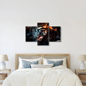 Egy fekvő tigris képe (90x60 cm)