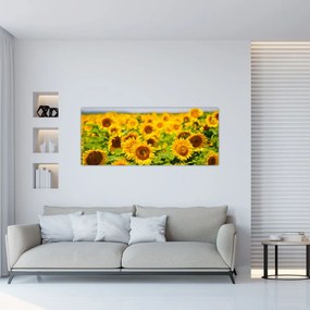 Kép - Napraforgók (120x50 cm)