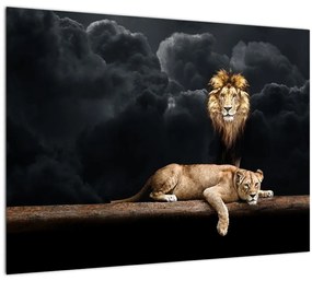 Kép - oroszlán és a nőstény oroszlán a felhőkben (üvegen) (70x50 cm)