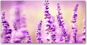 Üvegpanel konyhába Levendula 140x70 cm Ragasztó