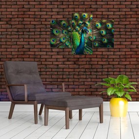 Kép – Pávatoll (90x60 cm)