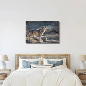 Kép - Üvöltő farkas (90x60 cm)