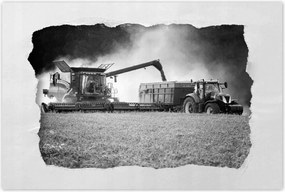 Poszterek 120x80 Aratás Traktor Kombájn