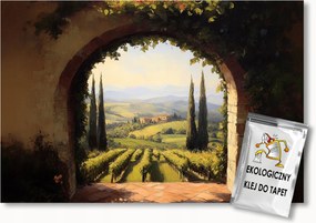 Fotótapéta Flizelina Tájkép Kapu Bejárat Toszkána Szőlő 200x140 ragasztó