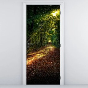 Fotótapéta ajtóra - Erdei út (95x205cm)