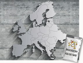 Fotótapéta Flizelina Ezüst Európa térkép 3D hatással 300x210 ragasztó