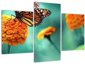 Egy pillangó képe (90x60 cm)