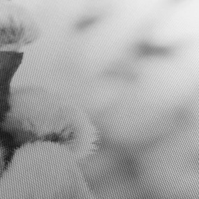 Kép - A tavasz kezdete (120x50 cm)