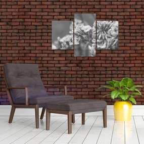 Kép - Szárított virágok (90x60 cm)
