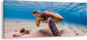 Teknős képe az óceánban (120x50 cm)