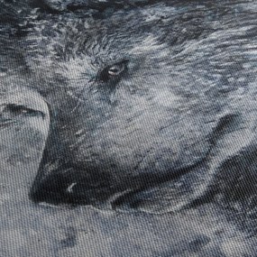 Kép - Farkas rajzfilm (70x50 cm)