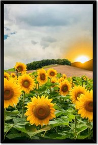 Poszterek keretben 40x60 Tájkép Napraforgók