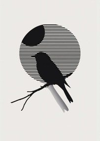 Poszter 67,5x95cm Kontraszt Karcsúság