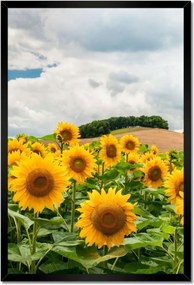 Poszterek keretben 40x60 Tájkép napraforgókkal