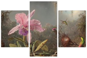 Kép - Martin Johnson Heade, Cattleya Orchid and Three Hummingbirds, reprodukciók (90x60 cm)