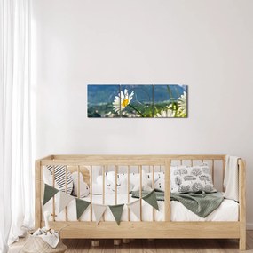 Kép - tavasz az Alpokban (órával) (90x30 cm)