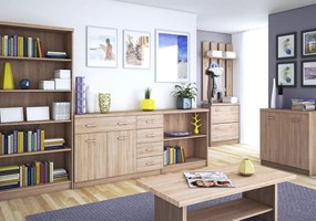 Vitrin 1D1W1S, sonoma tölgy, univerzális,TOPTY TYP 32