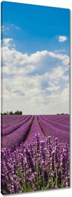 Vászonkép 40x100 Levendulamező Levendula
