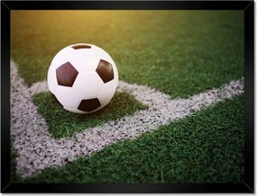 Poszterek keretben 40x30 Labda szögletrúgás Ág