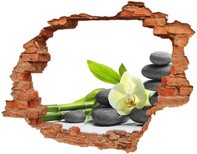 Fali matrica lyuk a falban Orchidea nd-c-68592259