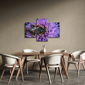 Méh a virágon képe (90x60 cm)
