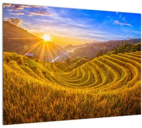 Kép - Rizs teraszok Vietnamban (üvegen) (70x50 cm)