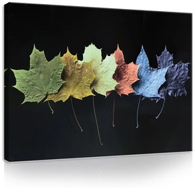 Vászonkép, Szines levelek, 80x60 cm méretben